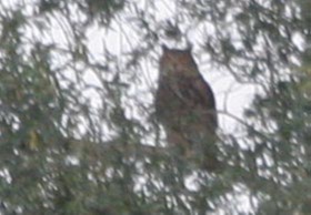 Le Salut de&nbsp;Pythagore