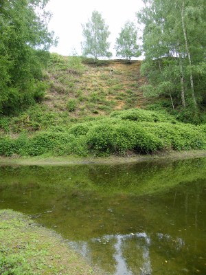 Réserve Hannotelet - Julien Taymans