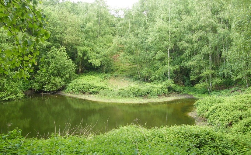 La Carrière Hannotelet, un écrin de sable pour notre biodiversité&nbsp;!