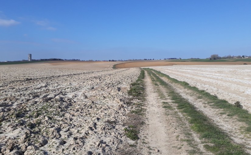 Les oiseaux des cultures – Constats et&nbsp;solutions