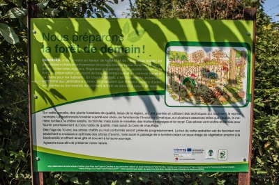 foret de demain-1228