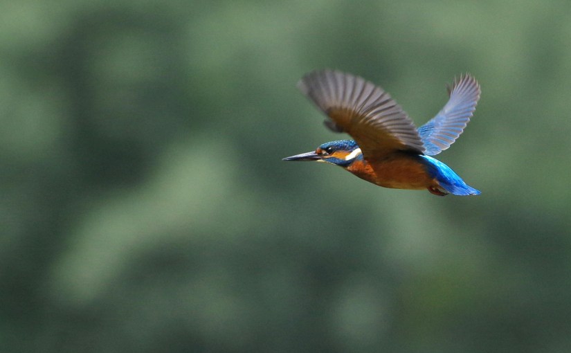 Parce qu’on n’apprend pas tout dans les&nbsp;livres