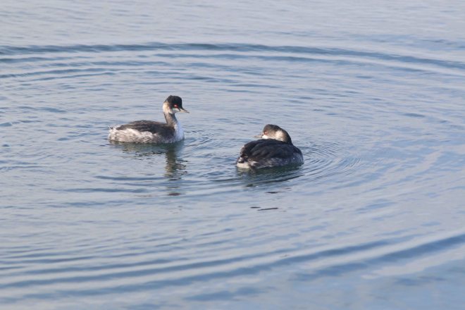 IMG_4387 (2) - Thierry Maniquet