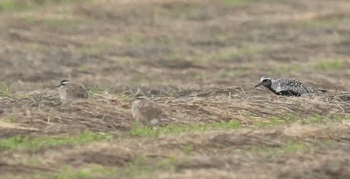 A vos jumelles : le 30 août&nbsp;2021