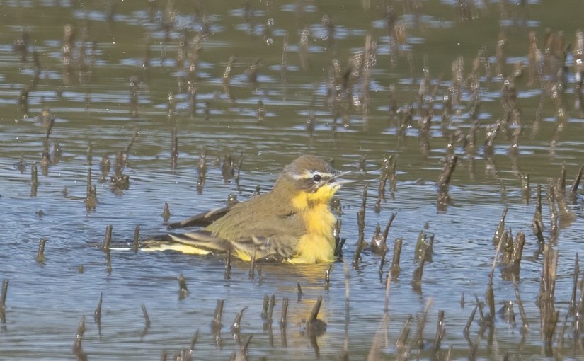 A vos jumelles : le 27 septembre&nbsp;2021