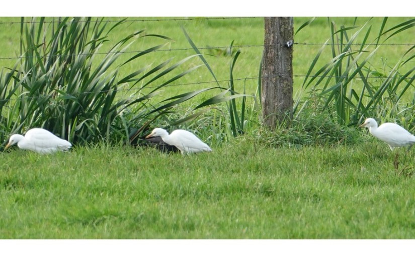A vos jumelles : le 19 octobre&nbsp;2021