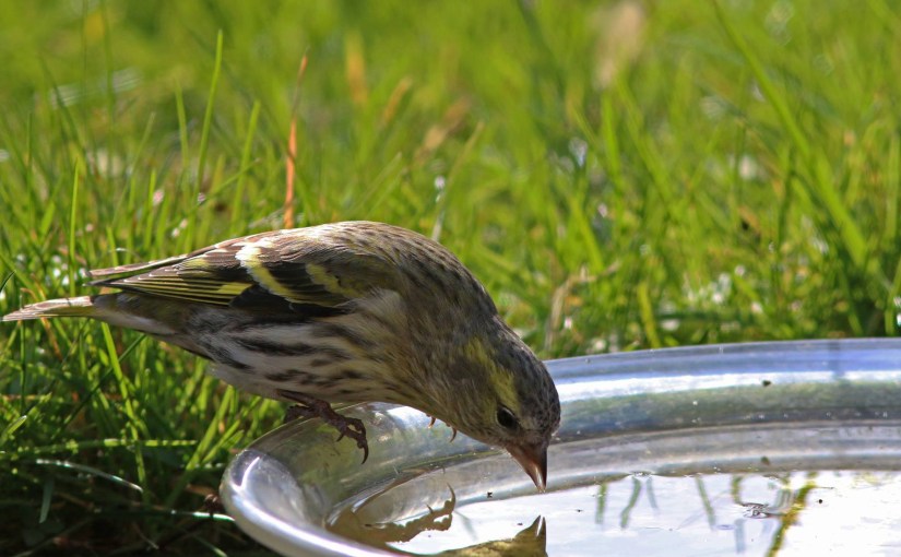 A vos jumelles : le 20 décembre&nbsp;2021