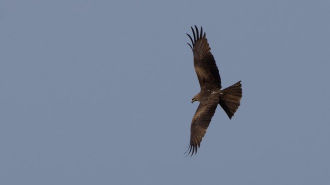 Milan noir - Romain Louviaux - Corbais