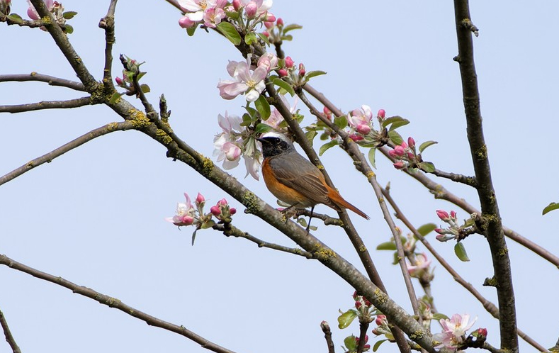 A vos jumelles : 3 mai&nbsp;2022