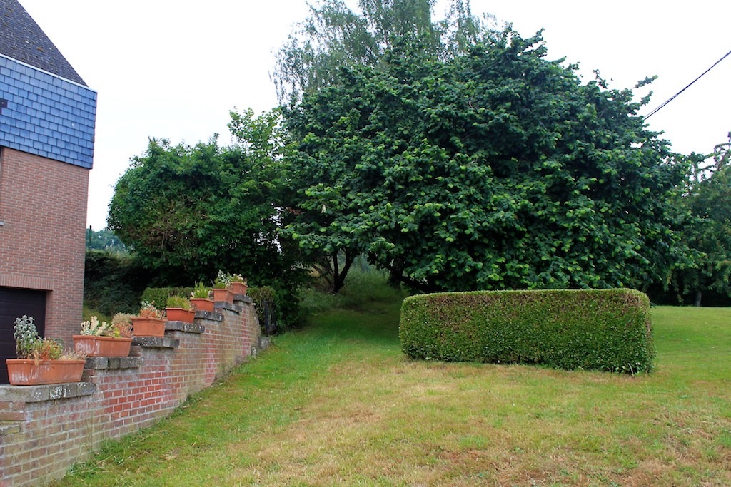 marilles-chemin herbeux
