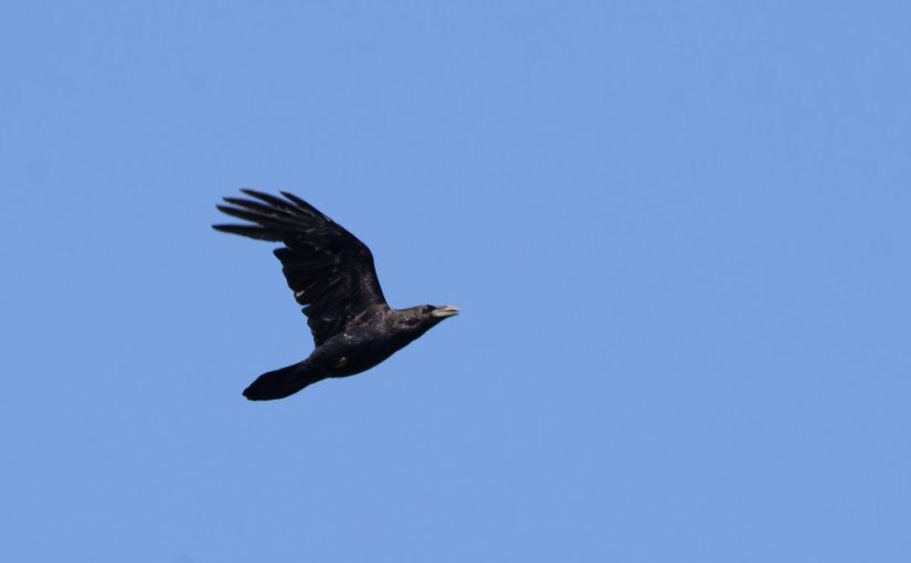 A vos jumelles : le 15 août&nbsp;2022