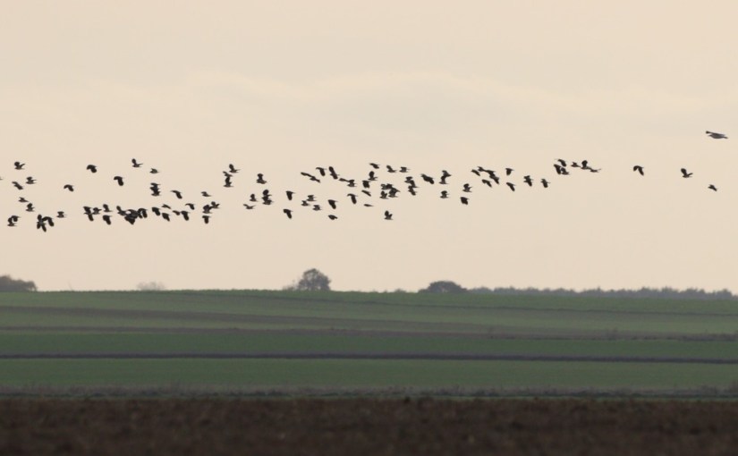 A vos jumelles : le 27 octobre&nbsp;2022