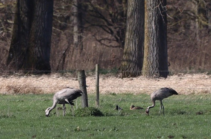 A vos jumelles : le 2 avril&nbsp;2023
